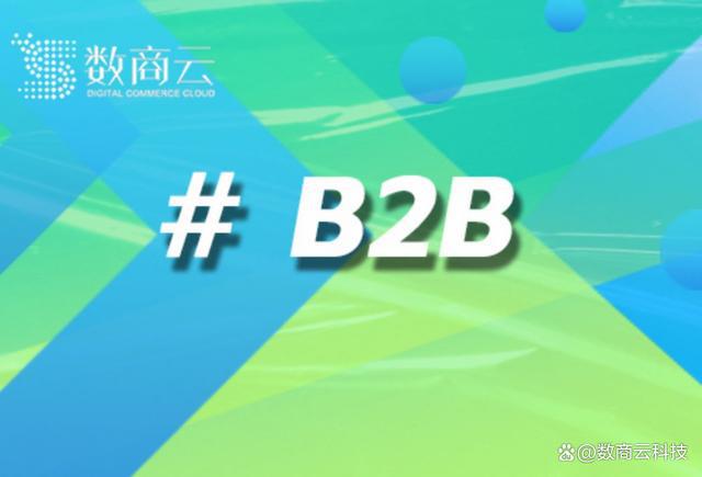 PP模拟器官网|数商云B2B平台在高科技行业的应用：促进技术产品供应链的创新